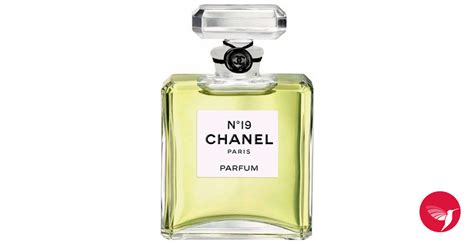 classic chanel perfume|perfumes like Chanel no 19.